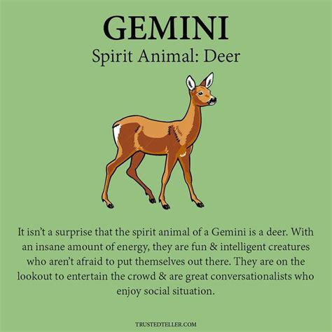 Geminis Are Quirky When They Have Their Beautiful Eyed Spirit Animal On