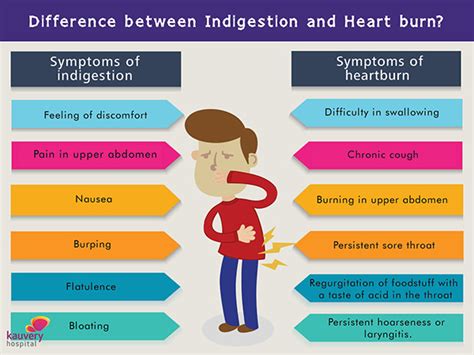 What Is The Difference Between Indigestion And Heart Burn Kauvery