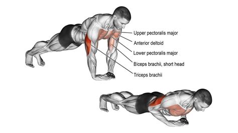 Best Push Ups For Inner Chest To Build Size And Strength