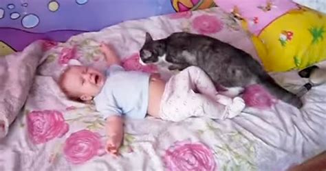 Check spelling or type a new query. Baby can't stop crying on the bed - now keep your eyes ...