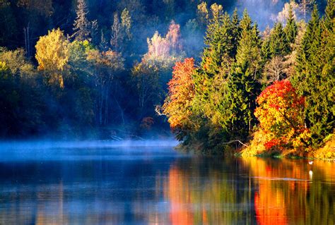 One thing latvia lacks are mountains but much of other latvian nature's treasures level it out. Wallpaper autumn, latvia, river, morning, autumn, forest ...