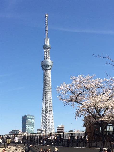 도쿄 스카이트리 방송타워 Tokyo Skytree 634m 네이버 블로그