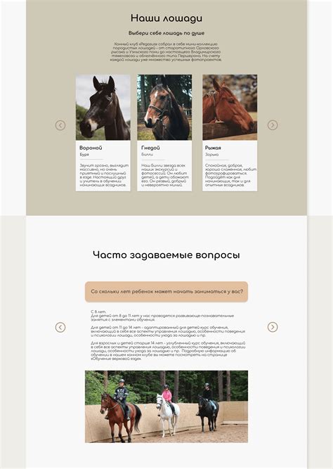 Equestrian Club Pegasus On Behance