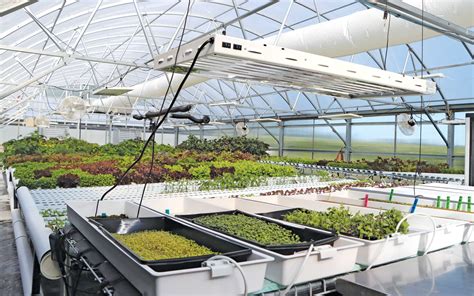 The Complete Guide To Hydroponic Growing Systems Choosing The Right