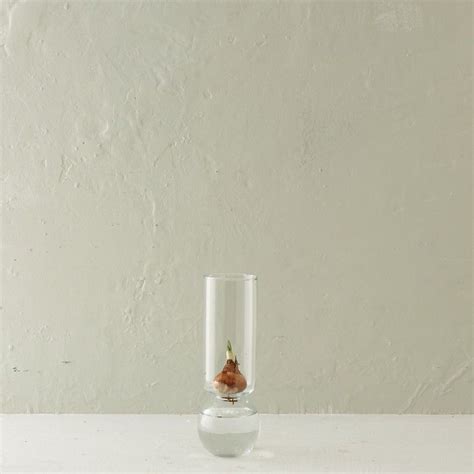 10 Easy Pieces Simple Glass Vases Under 30 Gardenista Bulb Vase