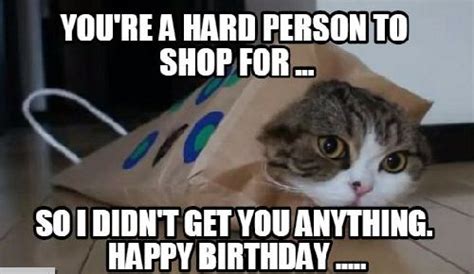Grumpy Cat Birthday Cake Meme