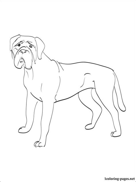 Mastiff Coloring Pages At Free Printable Colorings