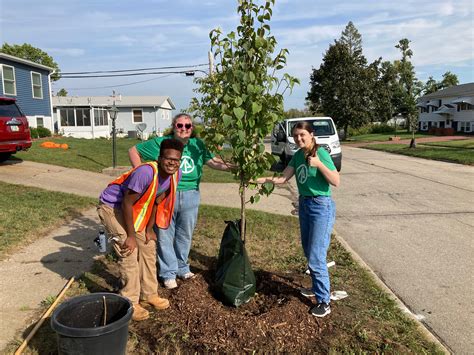 Arbor Day Blog Tree Care And Planting