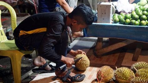 wisata malam  pohuwato asyiknya berburu durian mungil