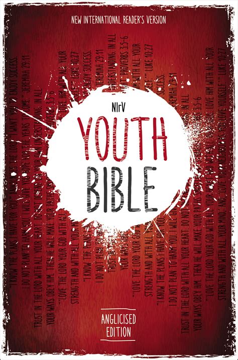 Nirv Youth Bible By Zondervan Free Delivery At Eden 9780310761532