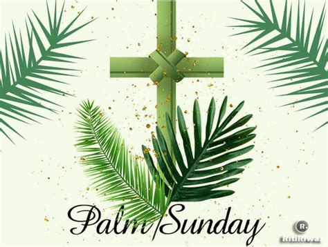 Sowing The Seed Palm Sunday Year A