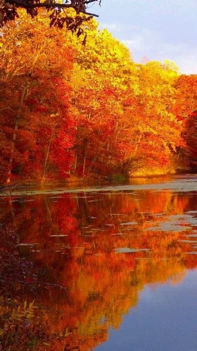 Reflecting Autumn ♡♡ Mother Nature Moments Beautiful Mother Nature