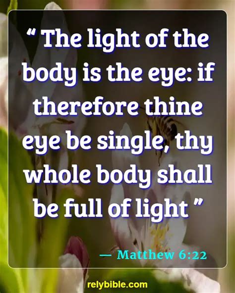 【top】40bible Verses About Your Body Is The Temple Of The Holy Spirit