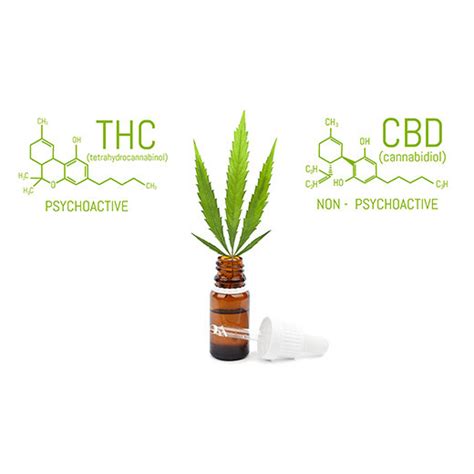 Explaining The Difference Between Cbd And Thc Complete Hemp