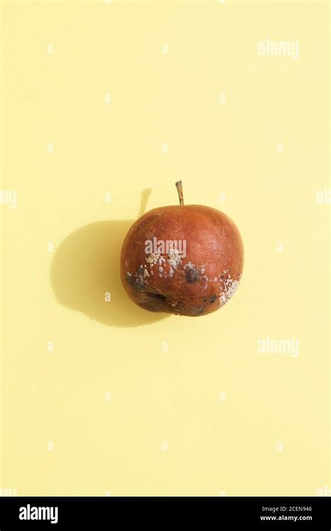 Rotten Apple Cut Out Banque Dimage Et Photos Alamy