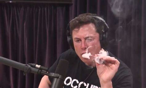 Video Elon Musk Fundador De Tesla Sorprende A Todos Fumando Marihuana En Plena Entrevista