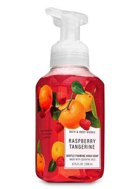 Bath Body Works Gentle Foaming Hand Soap Raspberry