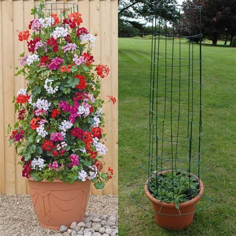 Amazing Vertical Garden Ideas About Climbing Plants In