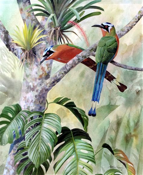 Graham Arader A Lovely Ornithological Painting Featuring Tropical