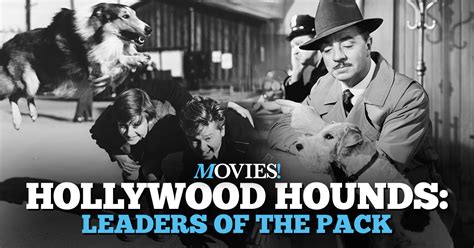 Movies Tv Network Hollywood Hounds Leaders Of The Pack