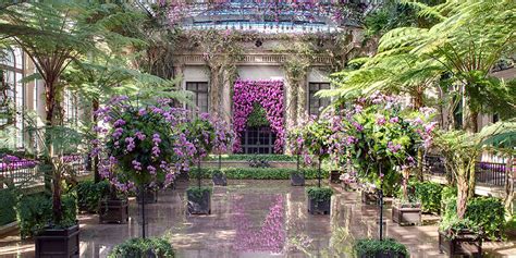Experience the world of longwood gardens…a place to see dazzling displays that elevate the art of horticulture …a place to gardens hours. LONGWOOD GARDENS - The Center
