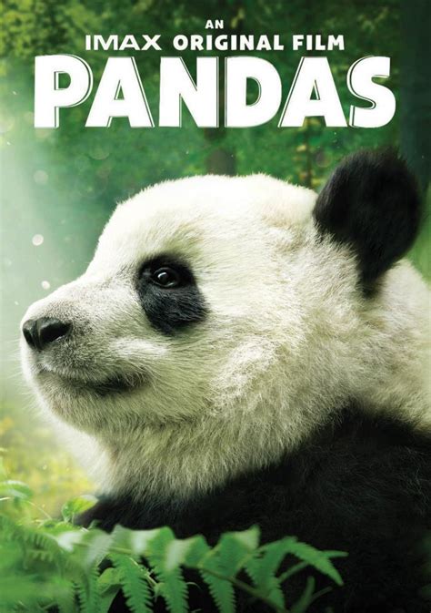 Black And White And Cute All Over Imax Pandas Critical Blast