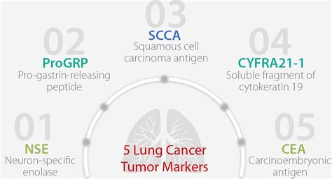 The 5 Tumor Markers You Must Know About Lung Cancer Mindray Global