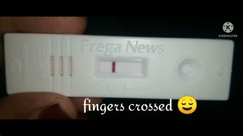 Pregnancy Test Line Progressionbefore Missed Periodafter Missed
