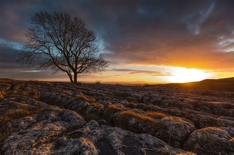 Free Images Landscape Tree Rock Horizon Wilderness Branch