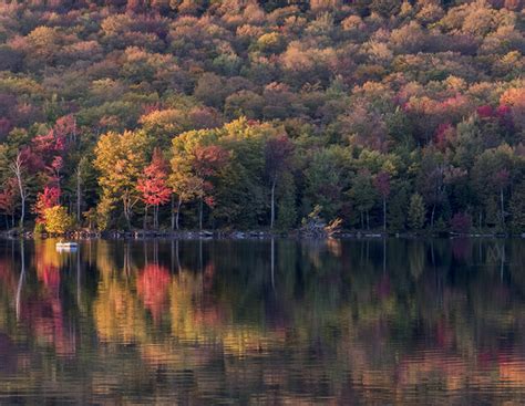 Where To See The Best And Brightest Fall Foliage In Canada