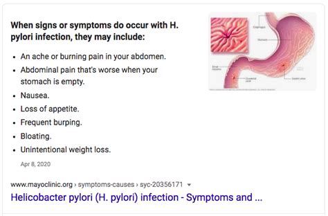 Primary Symptoms Of H Pylori Infection The Health Coach