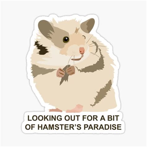 Cute Hamster Sticker For Sale By Partypeepsfun Redbubble