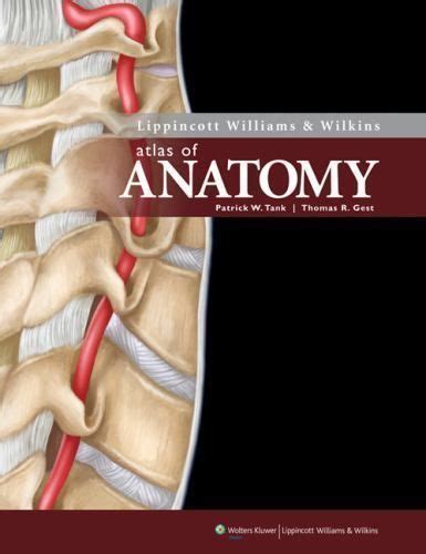 Lippincott Williams And Wilkins Atlas Of Anatomy Paperback Book Anatomía