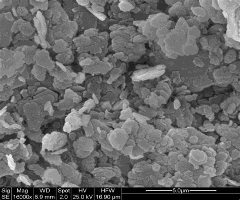 Sem Image Of Untreated Kaolin Clay Omc299 Download Scientific