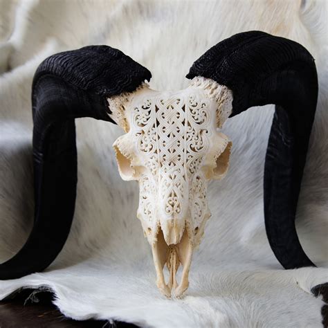 Hand Carved Ram Skull Celtic Aureus Skulls Touch Of Modern