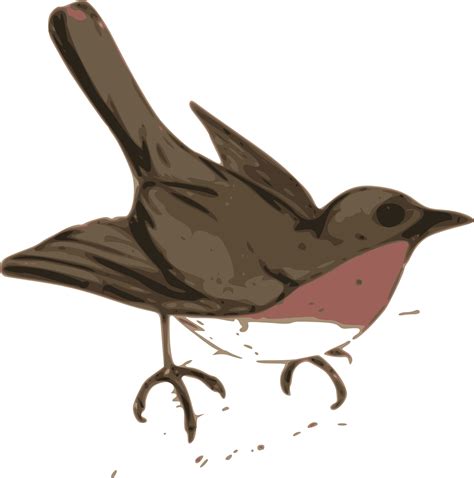 American Robin Transparent Background Png Mart