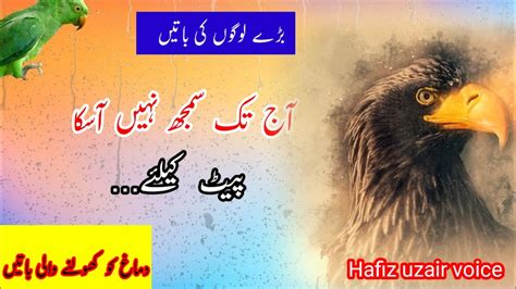 Aqwal E Zareen Best Saying Of Wise People Urdu Quotes Hafiz Uzair