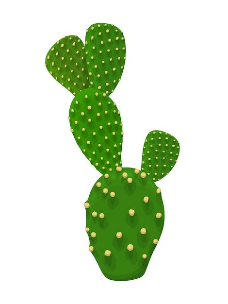 Premium Vector Cactus Plant Illustration