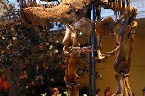 Pittsburgh Museums 10best Museum Reviews