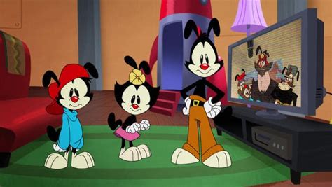 animaniacs 2020 afa animation for adults animation news reviews articles podcasts and more