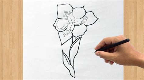How To Draw An Iris Flower Easy Step By Step Iris Drawing Tutorial