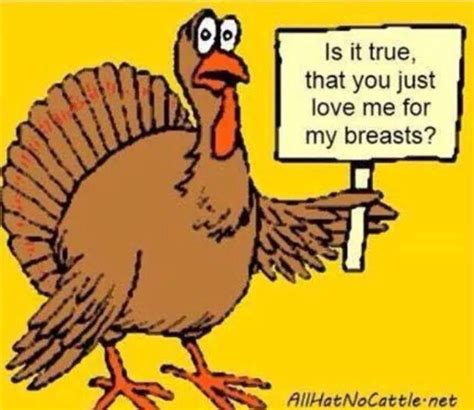 Is It True Thanksgiving Jokes Thanksgiving Quotes Funny Happy