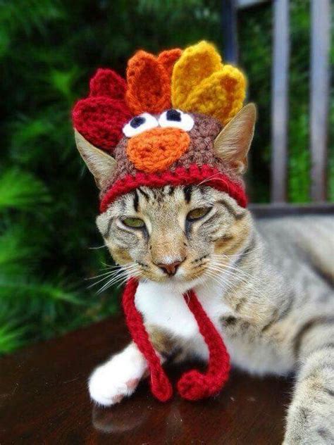 Thanksgiving Kitty Crochet Cat Hat Cat Costumes Cat Hat