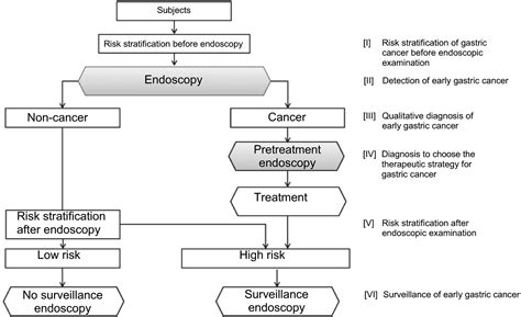 Guidelines For Endoscopic Diagnosis Of Early Gastric Cancer Yao