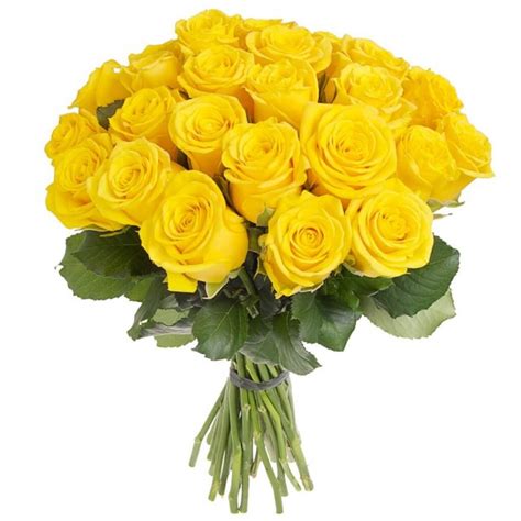 Rosas Amarelas Entrega Grátis Em 24h Chefpanda