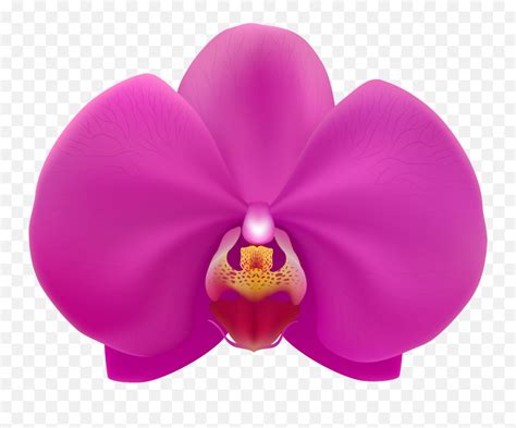 Orchid Clipart Emojiorchid Emoji Free Transparent Emoji