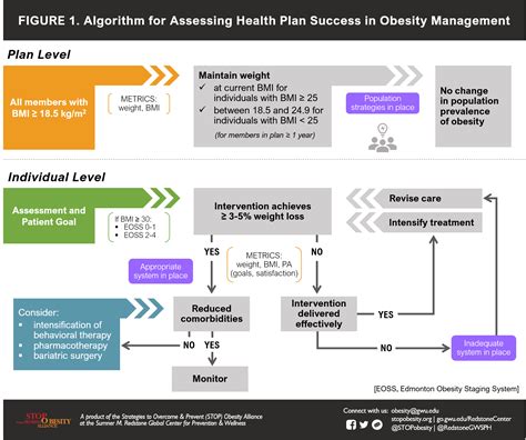 a proposed standard of care for adult obesity stop obesity alliance milken institute school