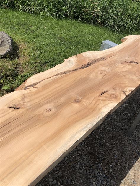 Live Edge Sugar Maple Wood Slabs