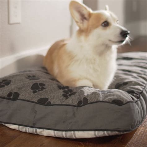 Mypillow On Twitter Treat Your Pup To The Comfiest Spot In The House
