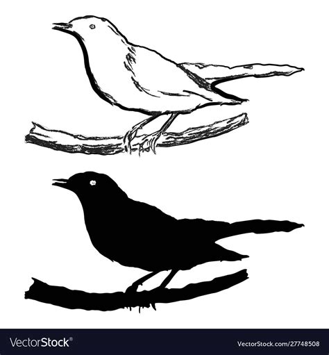 Blackbird Bird Silhouette And Simple Drawing Vector Image